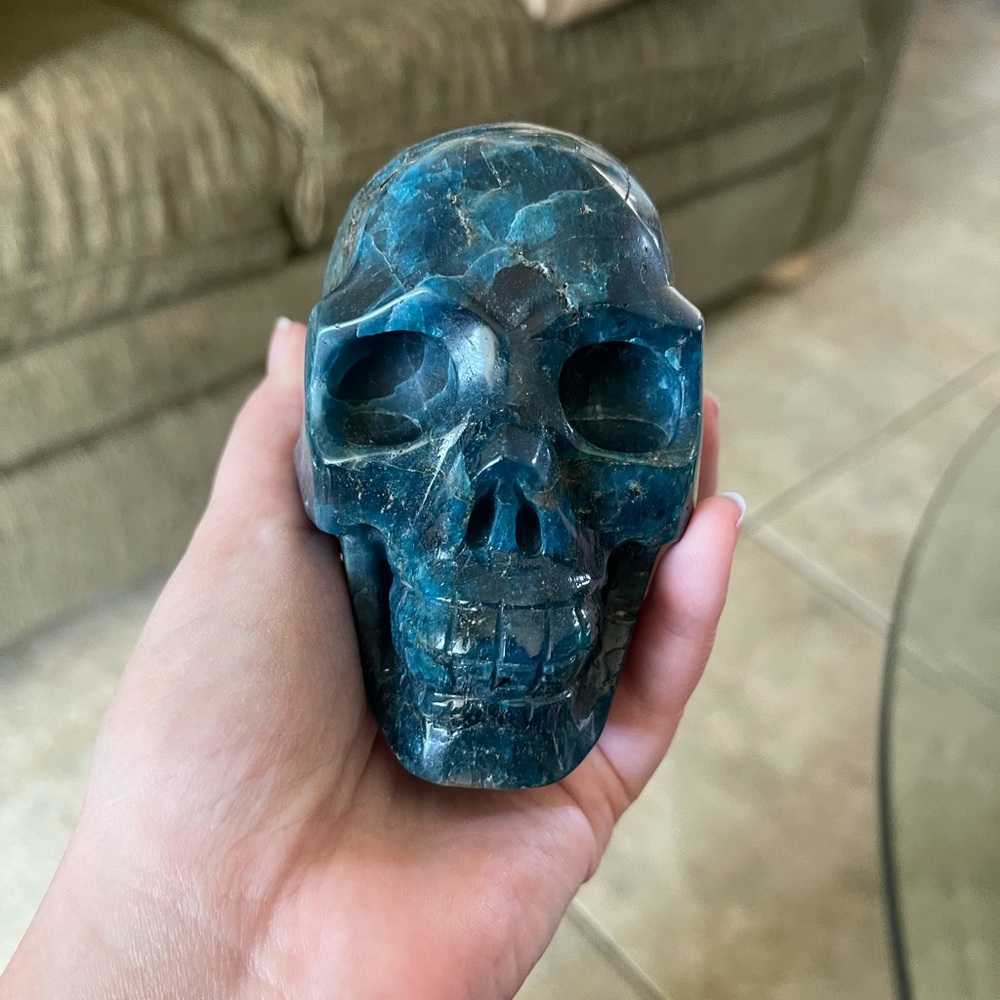 Appatite skull